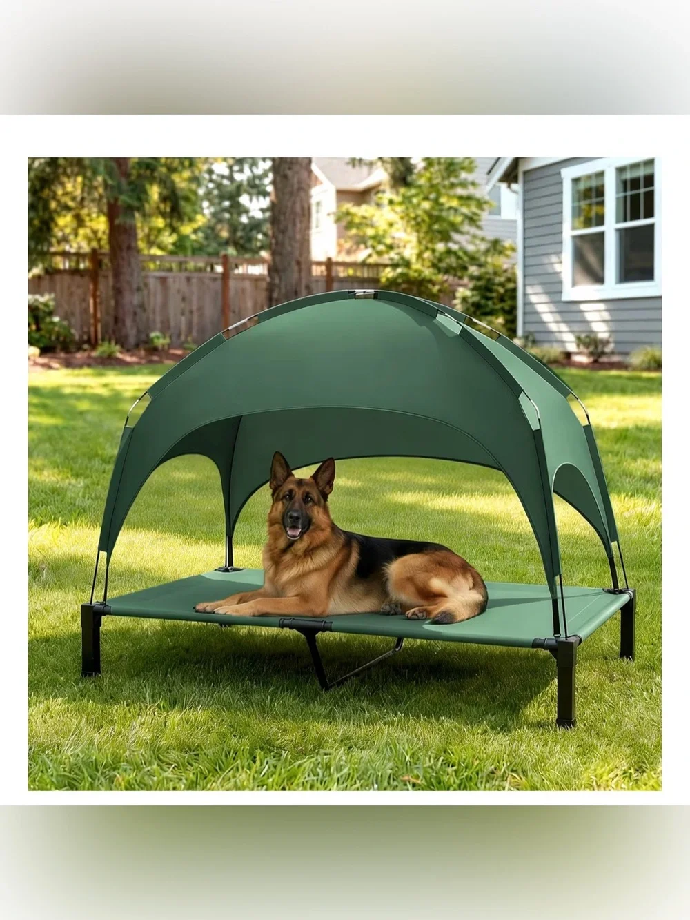 Heeyoo Outdoor Elevated Dog Bed with Removable Canopy, Green, 60 x 36 x 9.5-in